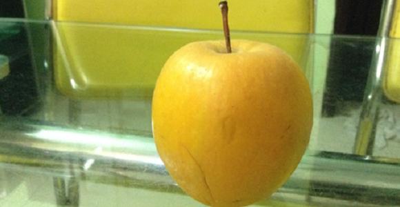 Công ty bảo vệ chia sẻ vụ xác minh táo để 9 tháng không thối