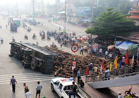 Dịch vụ bảo vệ | Hơn chục tấn gỗ tràn trước cổng Khu du lịch Suối Tiên